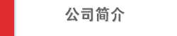 公司简介