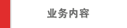 业务内容